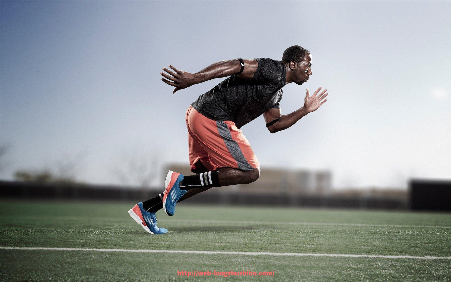 龙珠直播-小型健身器材图文详解及选购指南